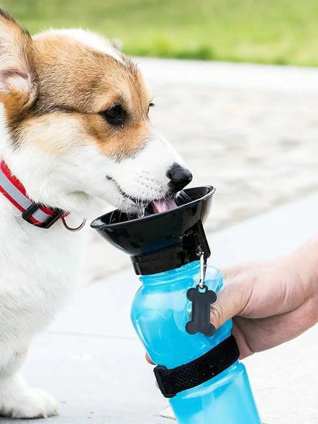 1pc Portable Pet Travel Bottle For Dog And Cat For Outdoor