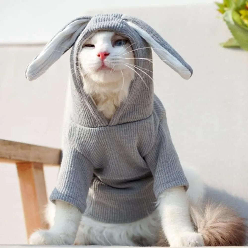ANIAC Funny Dog Hoodies for Small Dog Girl Boy Bunny Ears Dog Clothes Hooded Puppy Sweatshirt Cat Apparel Pet Costume for Easter Halloween Christmas Holiday (Small, Grey)