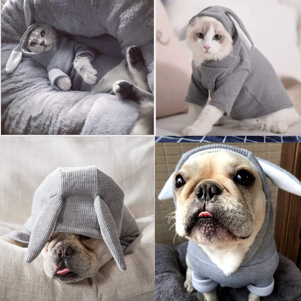 ANIAC Funny Dog Hoodies for Small Dog Girl Boy Bunny Ears Dog Clothes Hooded Puppy Sweatshirt Cat Apparel Pet Costume for Easter Halloween Christmas Holiday (Small, Grey)