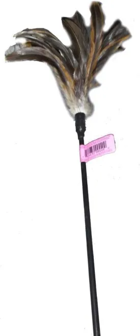 Cats Claw Inc Jumbo Cat Teaser - Wiggler 30 inch Wand