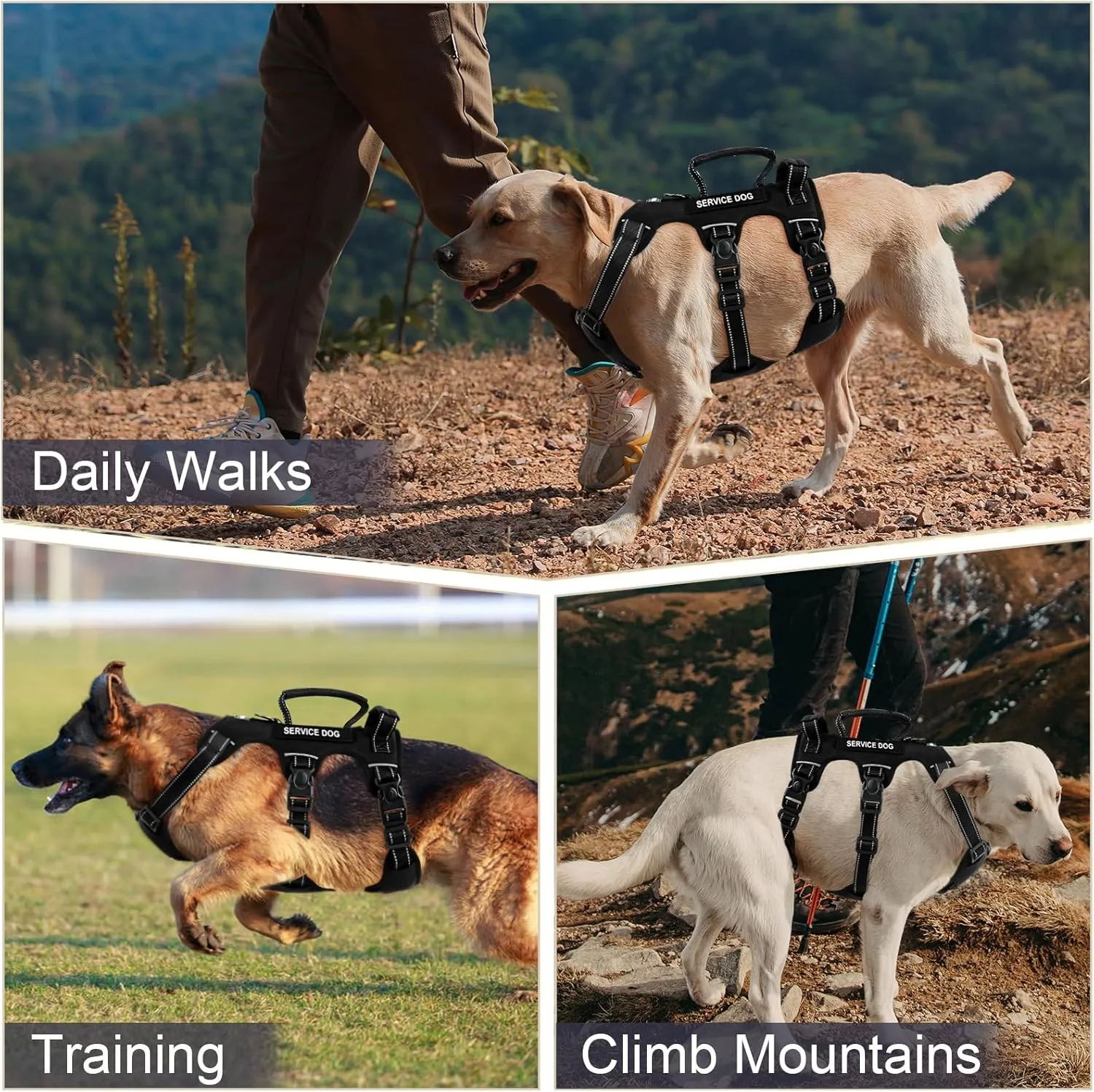 Escape Proof Dog Harness for Large Medium Sized Dogs Six Point Adjustable, Service Dog Vest Harness and Leash Set, No Pull Dogs Harnesses with Handle, XL Dog Harnesses for Walking(Black, L)