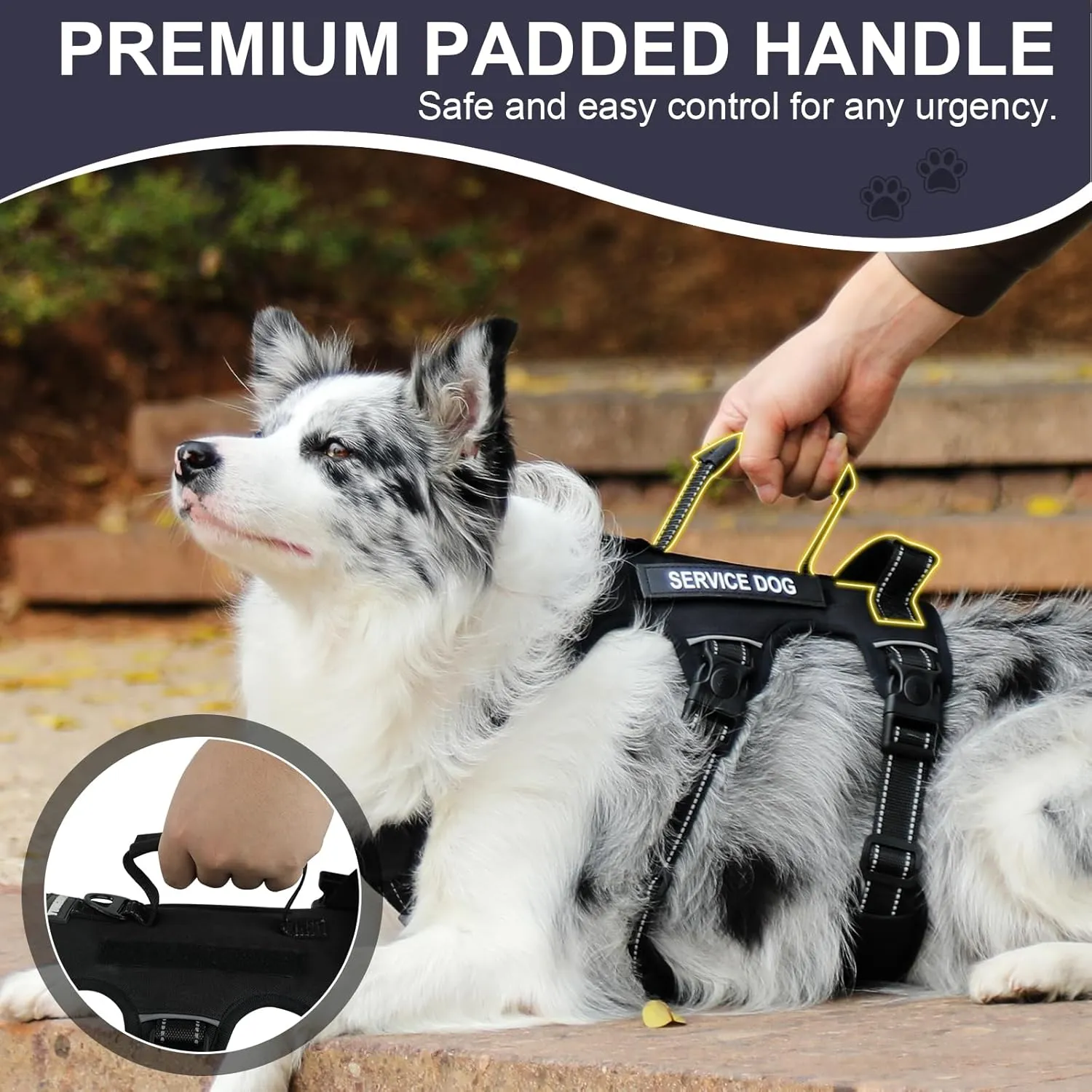 Escape Proof Dog Harness for Large Medium Sized Dogs Six Point Adjustable, Service Dog Vest Harness and Leash Set, No Pull Dogs Harnesses with Handle, XL Dog Harnesses for Walking(Black, L)