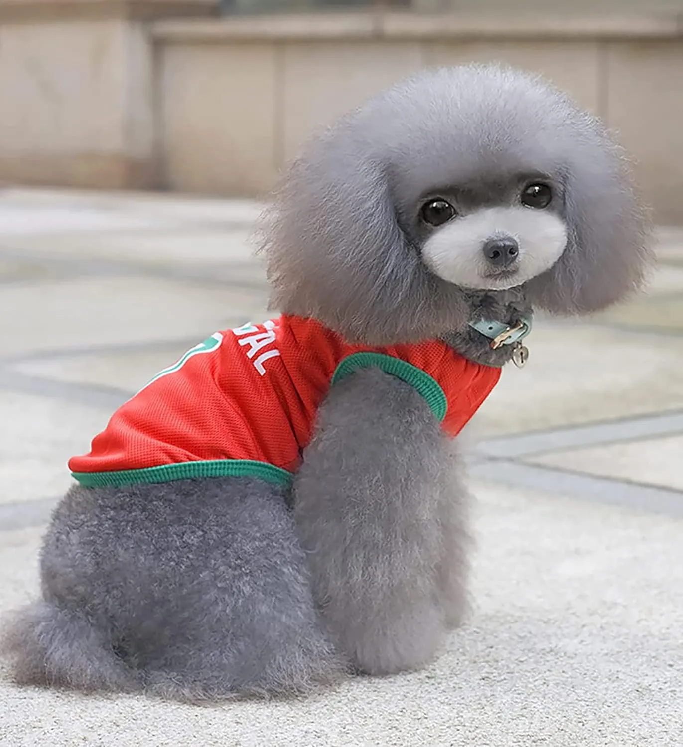 GabeFish Dog World Cup T Shirt Pets Football Jersey Sports Soccer National Team Vest Cat Summer Cool Clothes Apparel Portugal Small