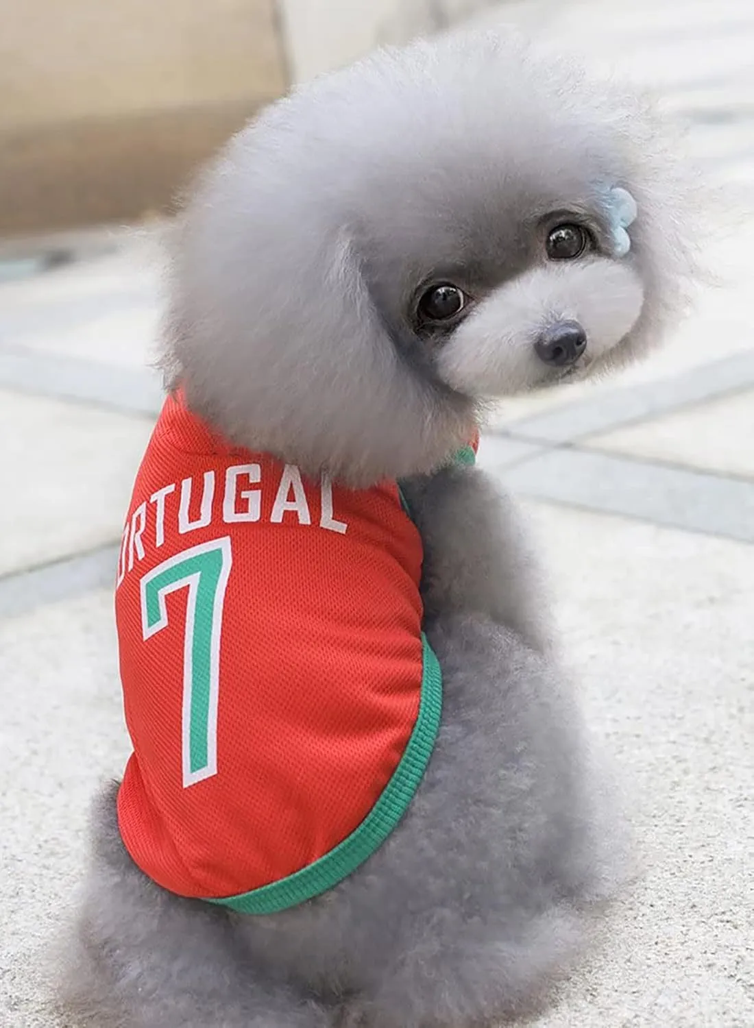 GabeFish Dog World Cup T Shirt Pets Football Jersey Sports Soccer National Team Vest Cat Summer Cool Clothes Apparel Portugal Small
