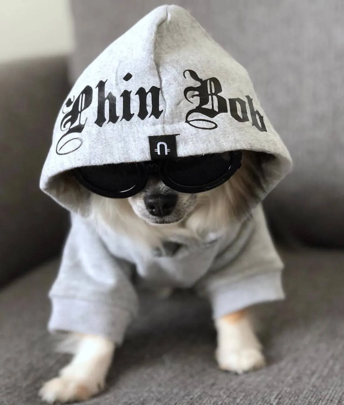 Gangsta Yapper Dog Hoodie - Personalised