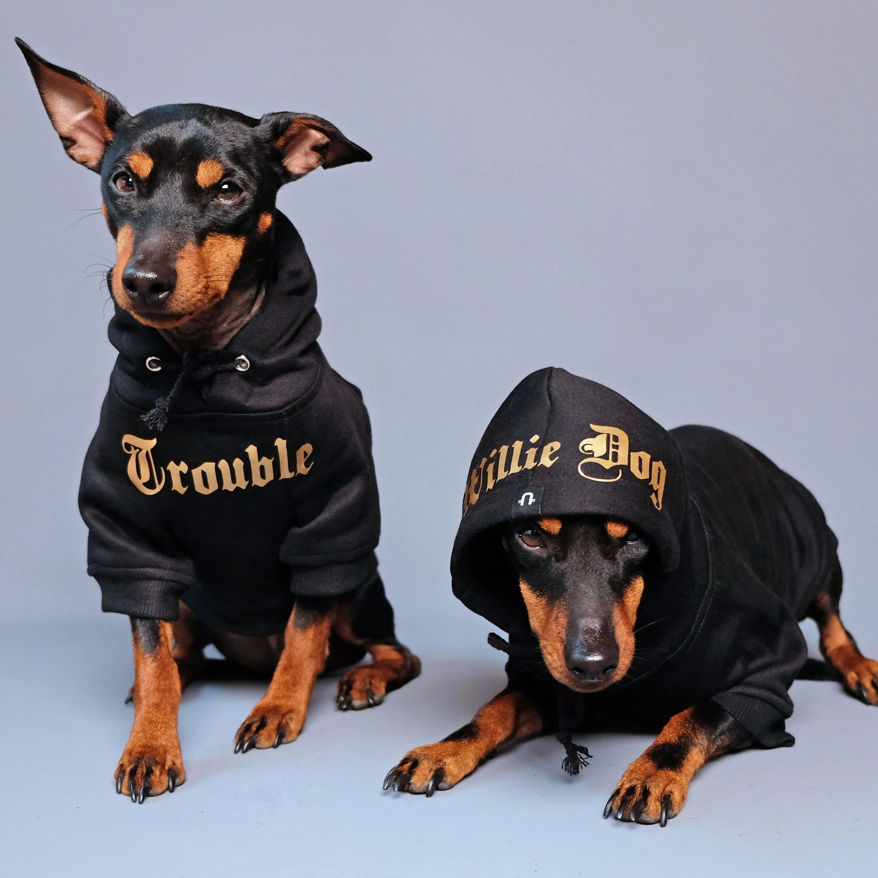 Gangsta Yapper Dog Hoodie - Personalised