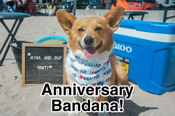 I ❤️ MINA   PUP SPECIAL EDITION ANNIVERSARY COOLING TIE ON BANDANA
