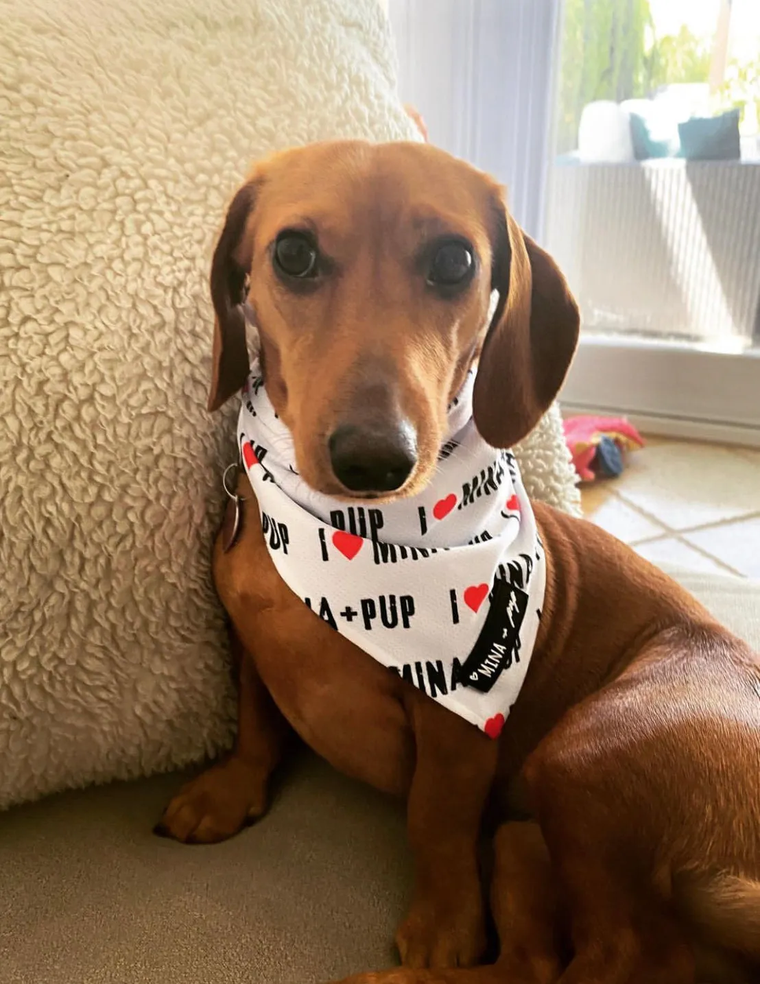 I ❤️ MINA   PUP SPECIAL EDITION ANNIVERSARY COOLING TIE ON BANDANA