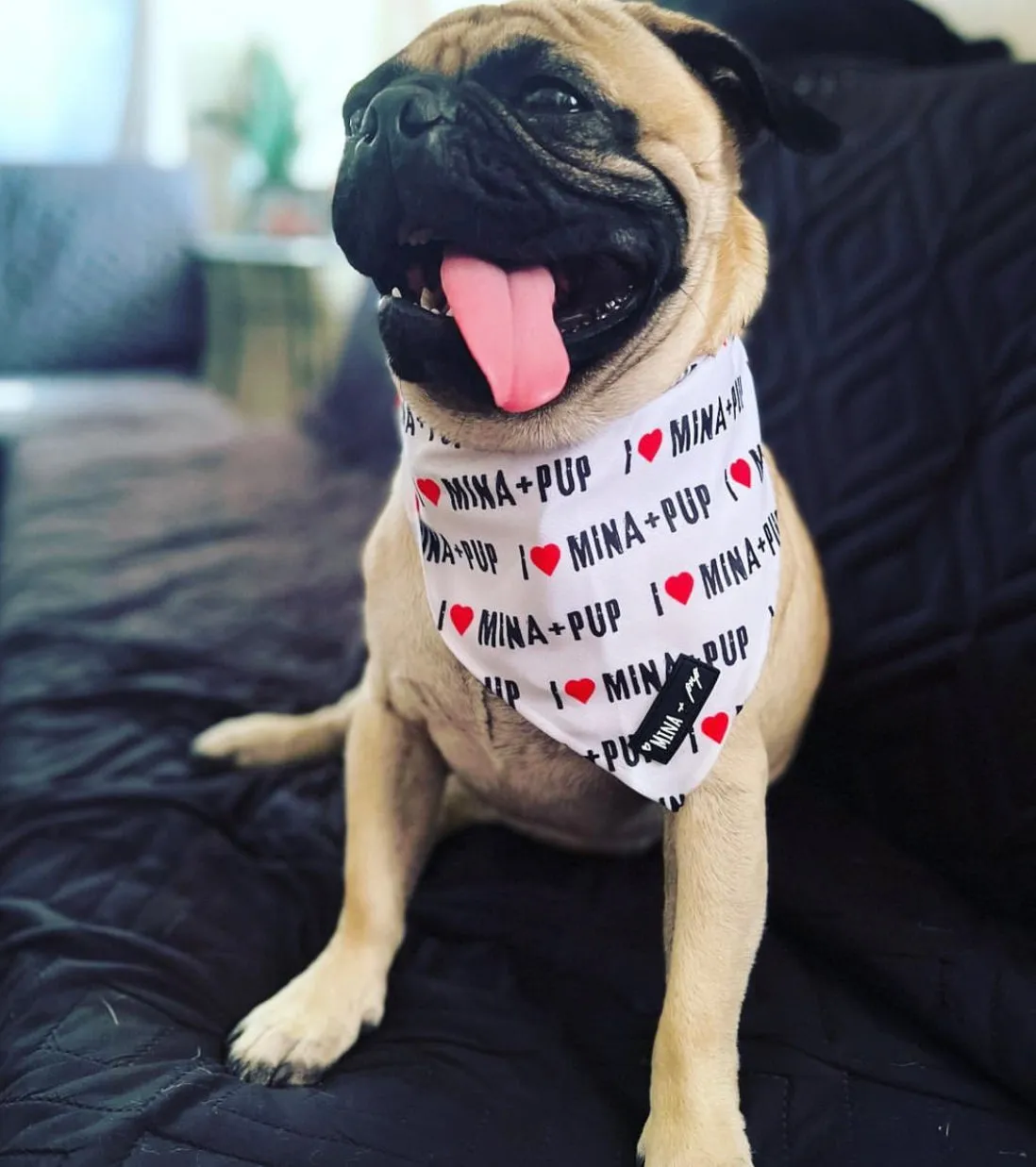 I ❤️ MINA   PUP SPECIAL EDITION ANNIVERSARY COOLING TIE ON BANDANA