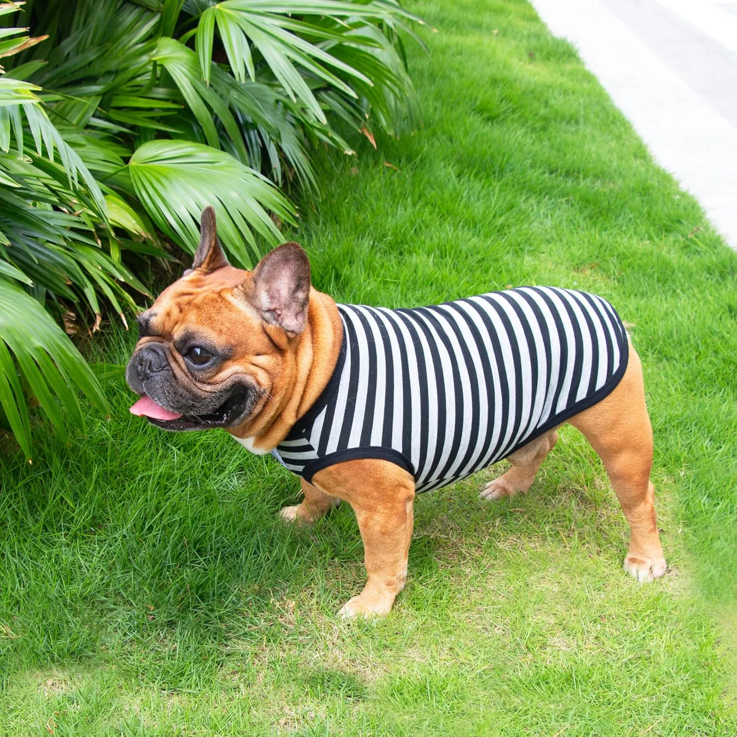 iChoue French Bulldog 100% Breathable Cotton Striped T Shirts Halloween Vest Clothes for Medium Dogs Tank Tops Frenchie Pug English Boston Terrier Pitbull Grey Black Stripes - Large