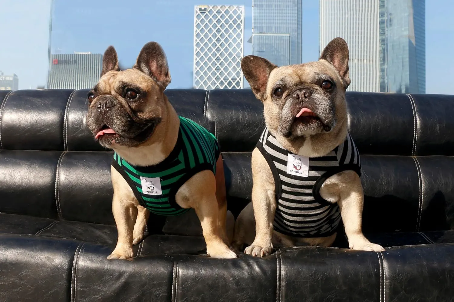 iChoue French Bulldog 100% Breathable Cotton Striped T Shirts Halloween Vest Clothes for Medium Dogs Tank Tops Frenchie Pug English Boston Terrier Pitbull Grey Black Stripes - Large