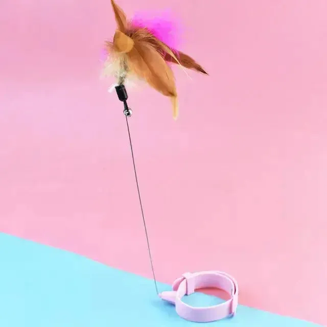 Kitten Teaser Collar