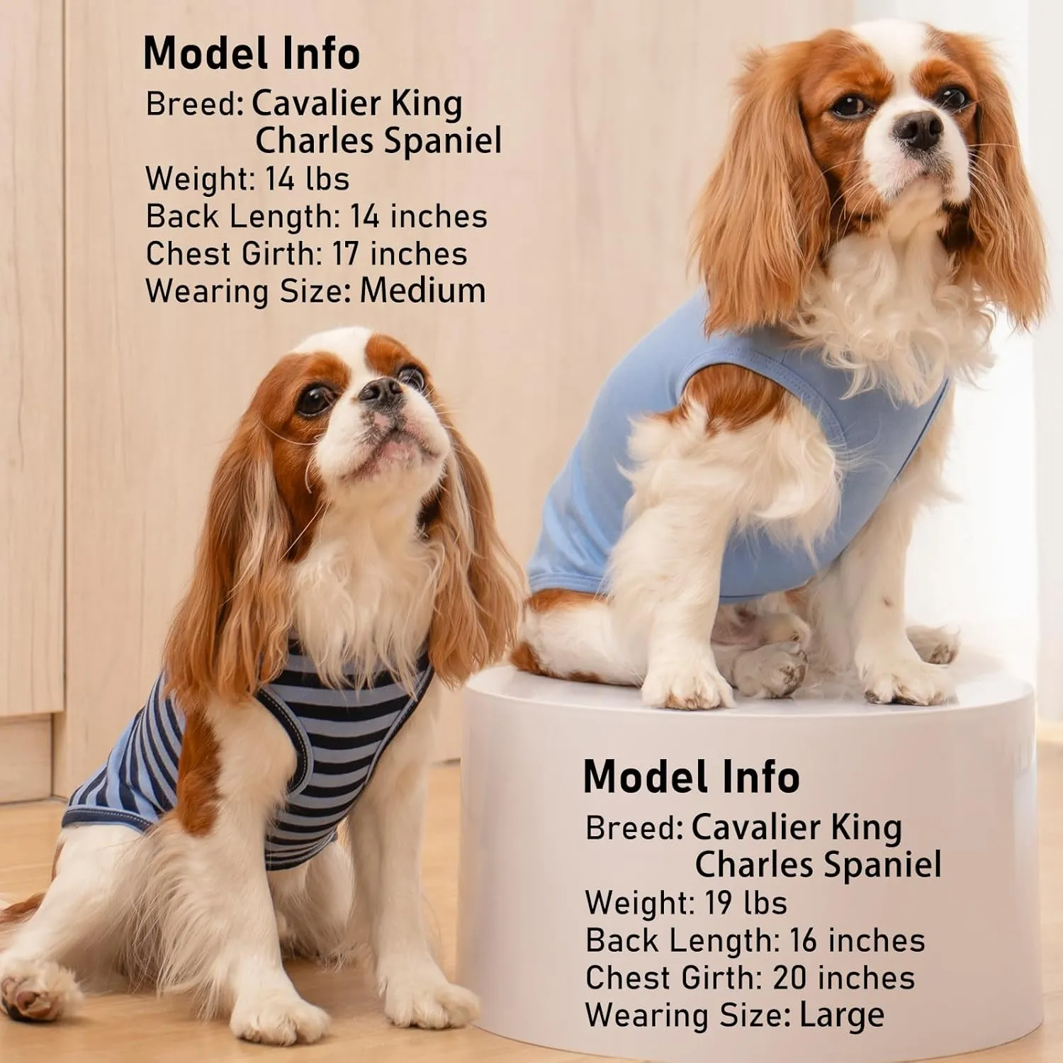KYEESE 2Pack Dog Shirts Small Tee Soft for Small Dogs Striped T Shirt Lightweight Sleeveless Vest Cotton Tank Top Clothes, Large,Dark Blue Striped