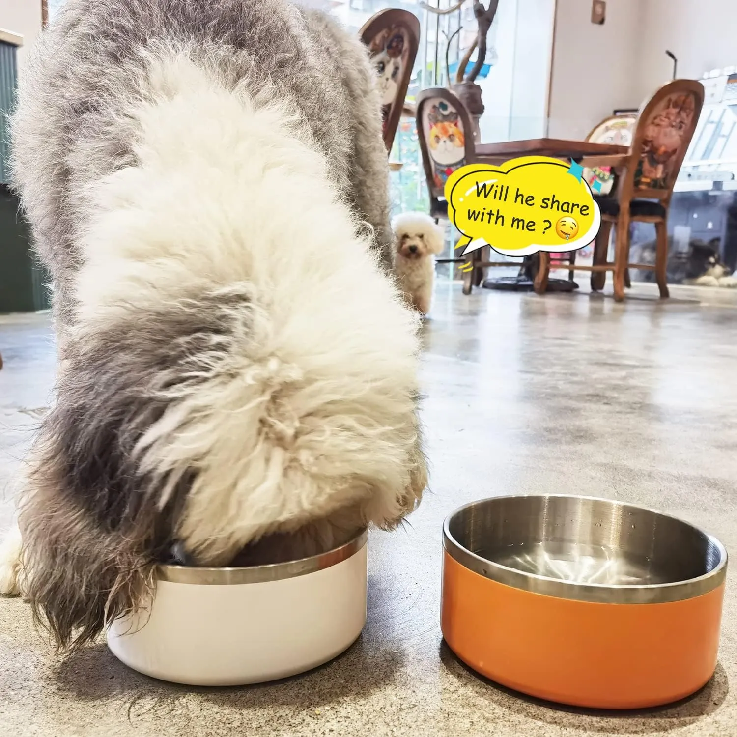 LIHONG Stainless Steel Dog Bowls for Small Meidum Sized Dogs,Dog Food Water Bowls No Slip,Dishwasher Safe(40oz,Orange)