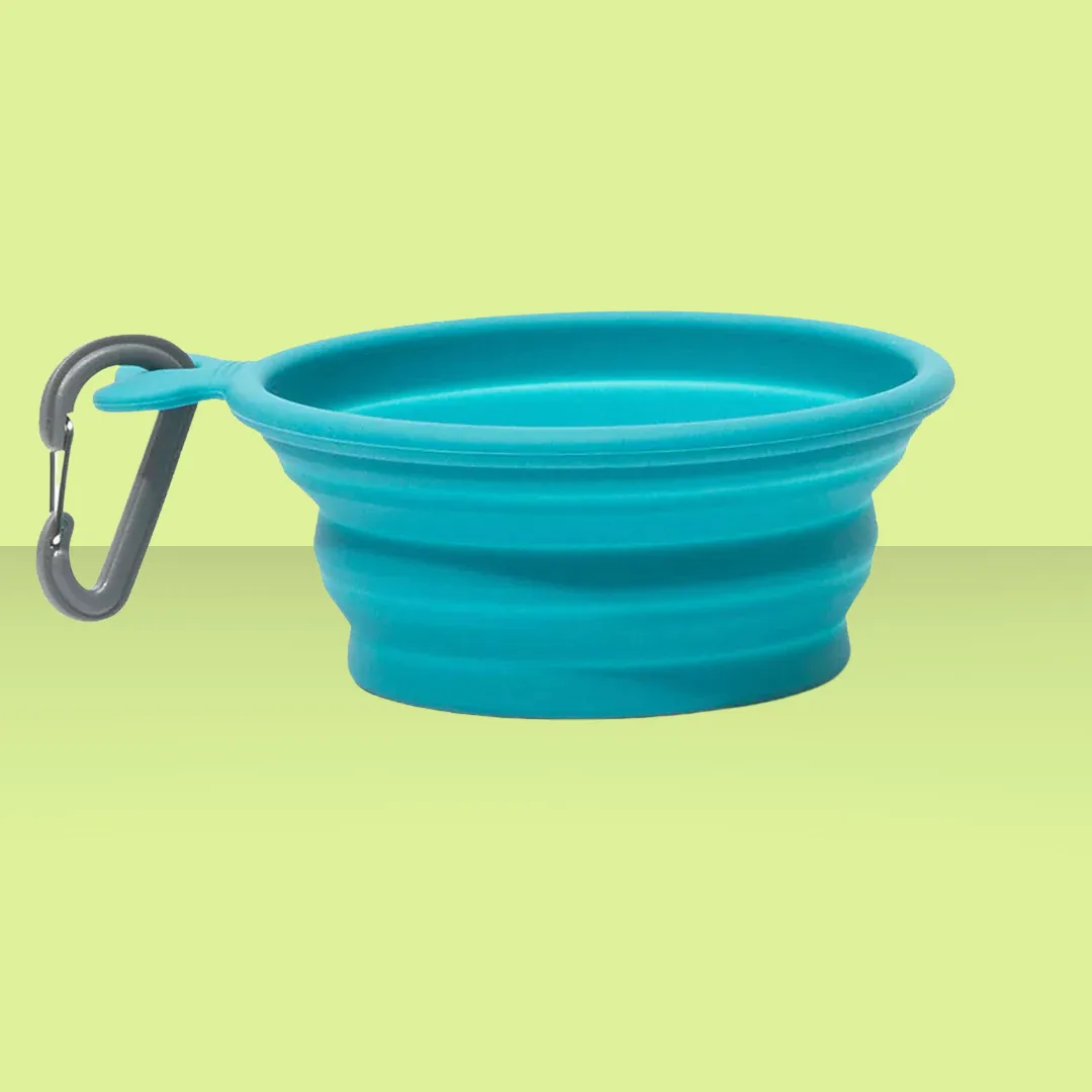 Messy Mutts Collapsible Bowl Blue 3cup