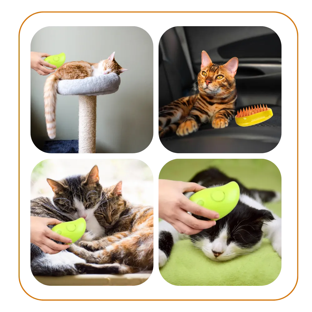 Multi-function Cat Slicker Brush