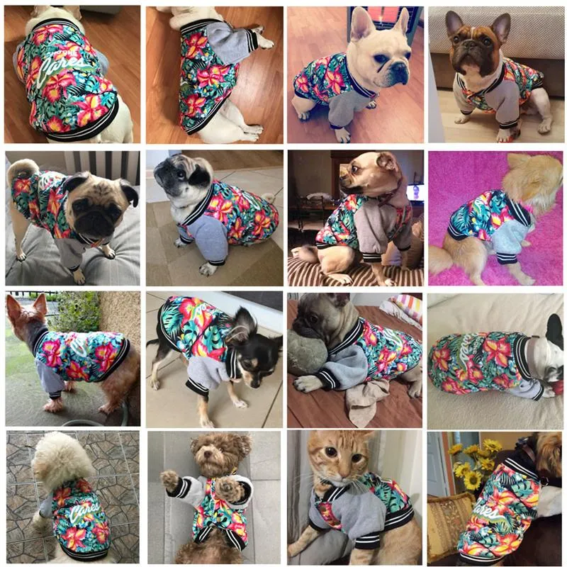 No One Cares Dog Jacket
