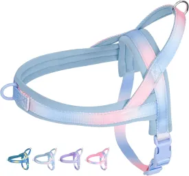No Pull Dog Harness with Soft Padded Handle, Escape Proof and Quick Fit Vest Harness, Easy Dog Strap Harness for Training Walking, Suitable for Small Dogs Light Blue S