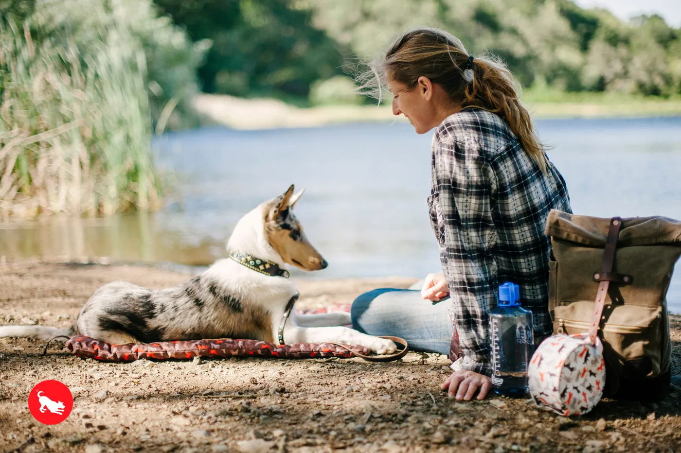 Outdoor Chill Pad For Pets