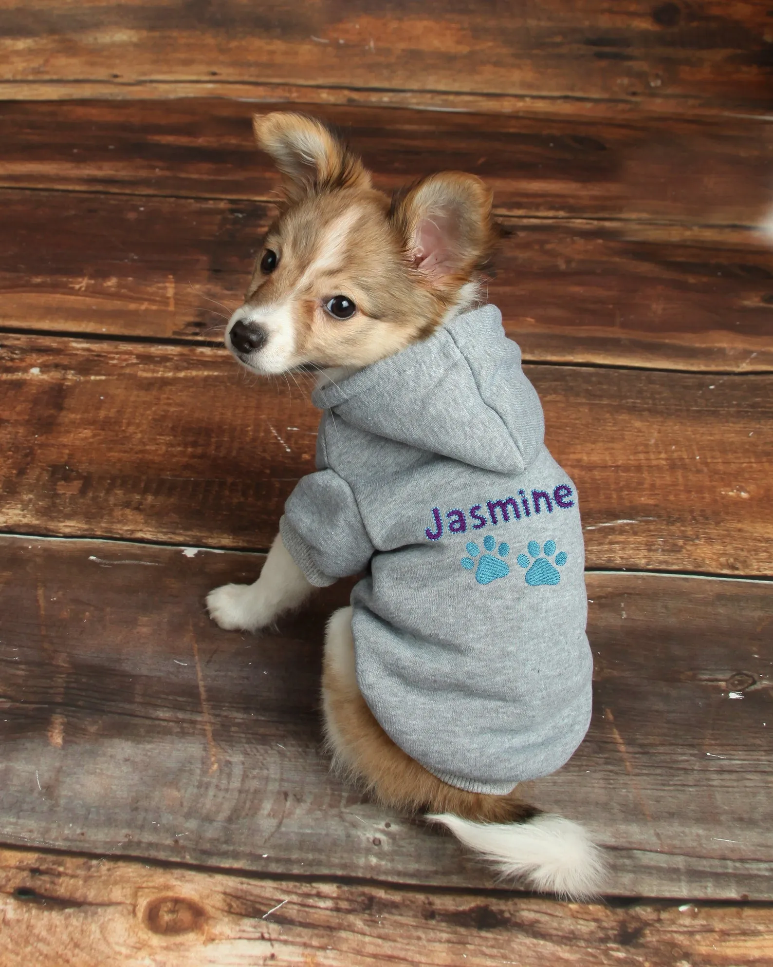 Personalized Dog Hoodie - Name Pet Hoodie - Personalized Dog Sweatshirt - Puppy Clothing - Personalized Dog Clothes - Outdoor Dog Coat