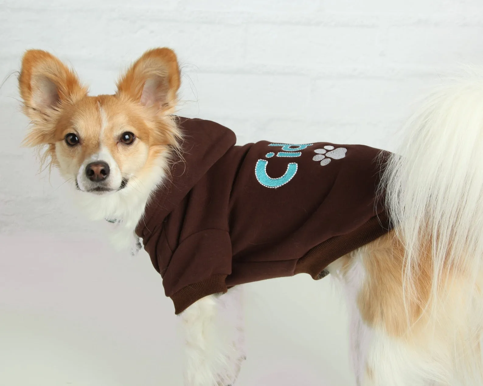 Personalized Dog Hoodie - Name Pet Hoodie - Personalized Dog Sweatshirt - Puppy Clothing - Personalized Dog Clothes - Outdoor Dog Coat