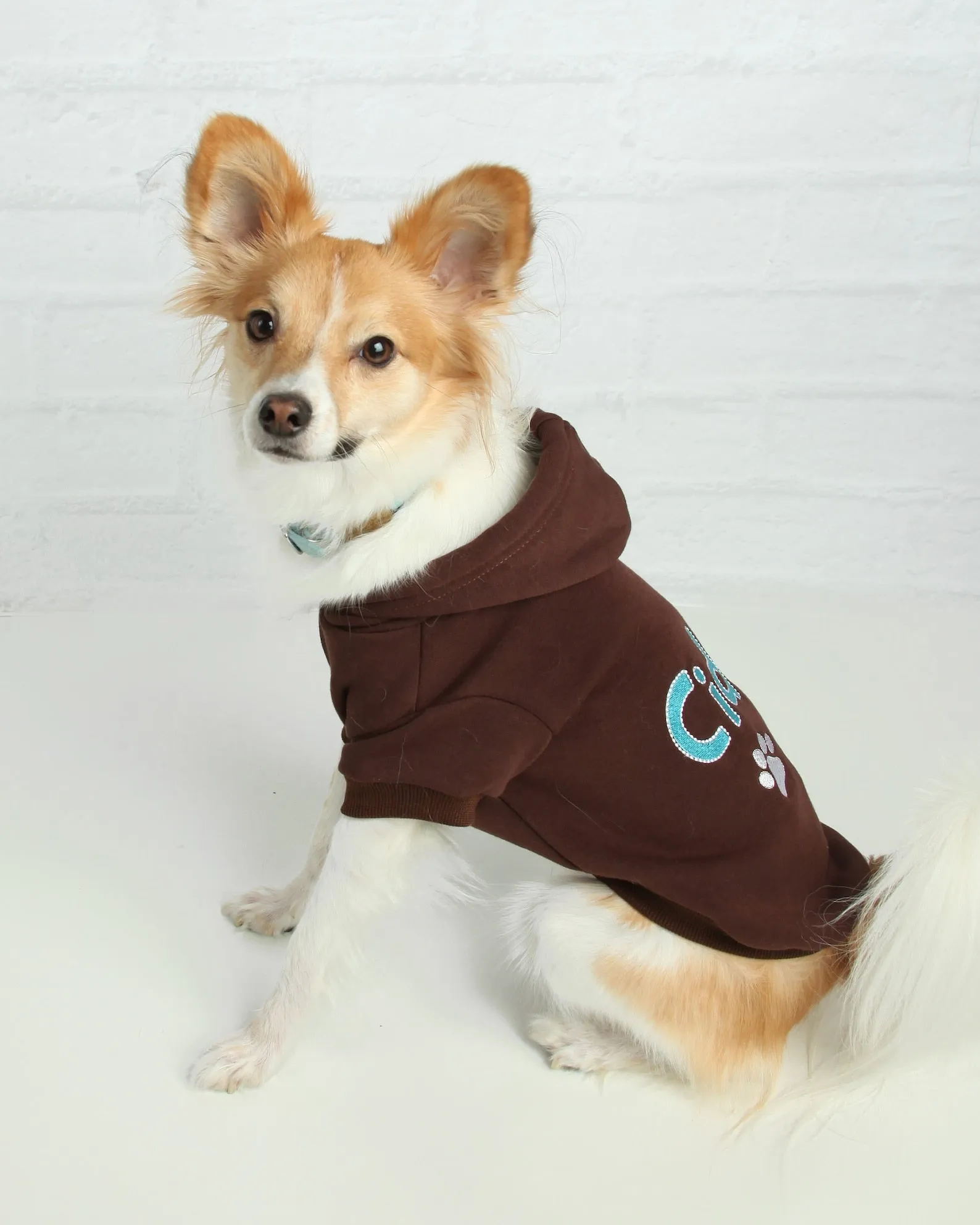Personalized Dog Hoodie - Name Pet Hoodie - Personalized Dog Sweatshirt - Puppy Clothing - Personalized Dog Clothes - Outdoor Dog Coat