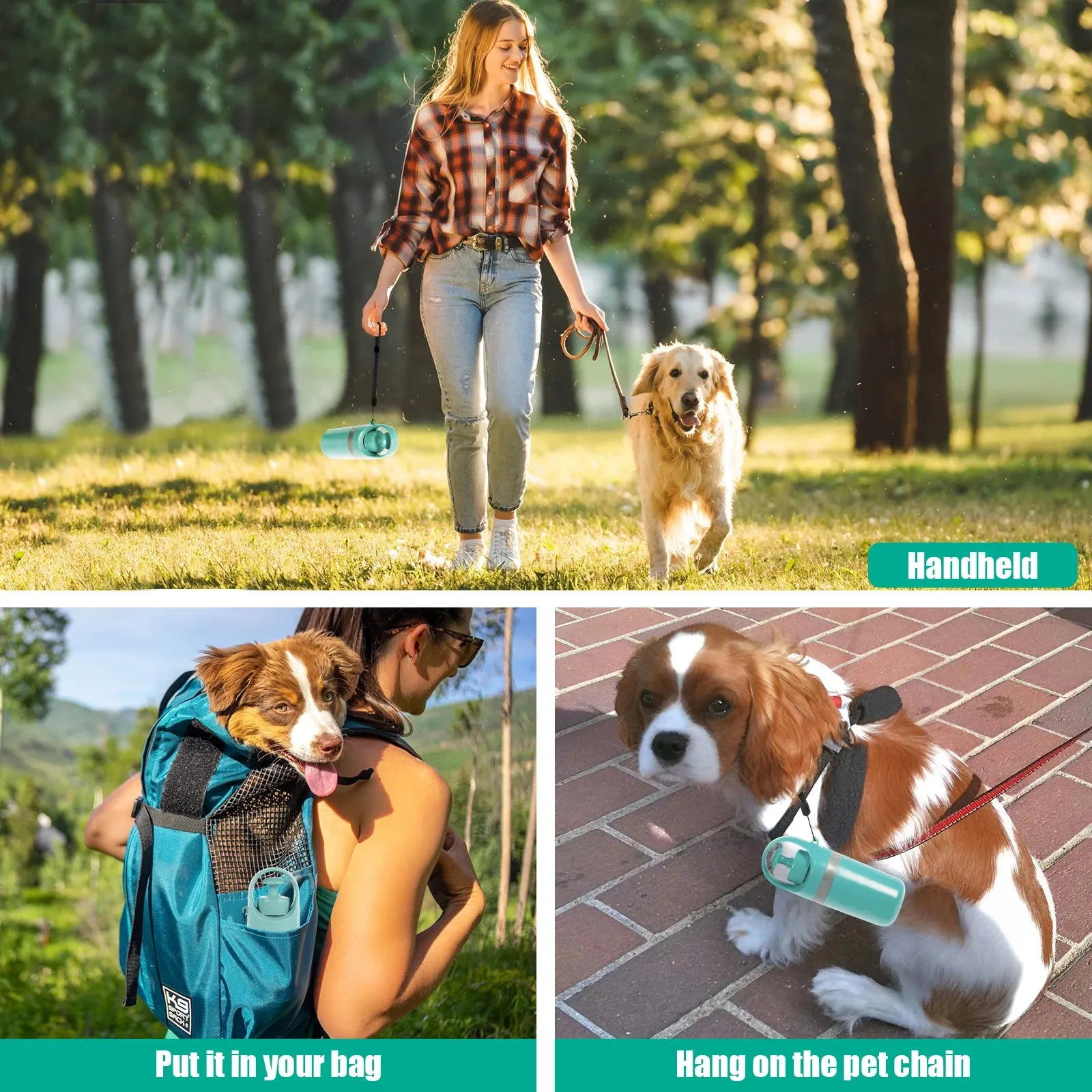 Pet Waste Solution