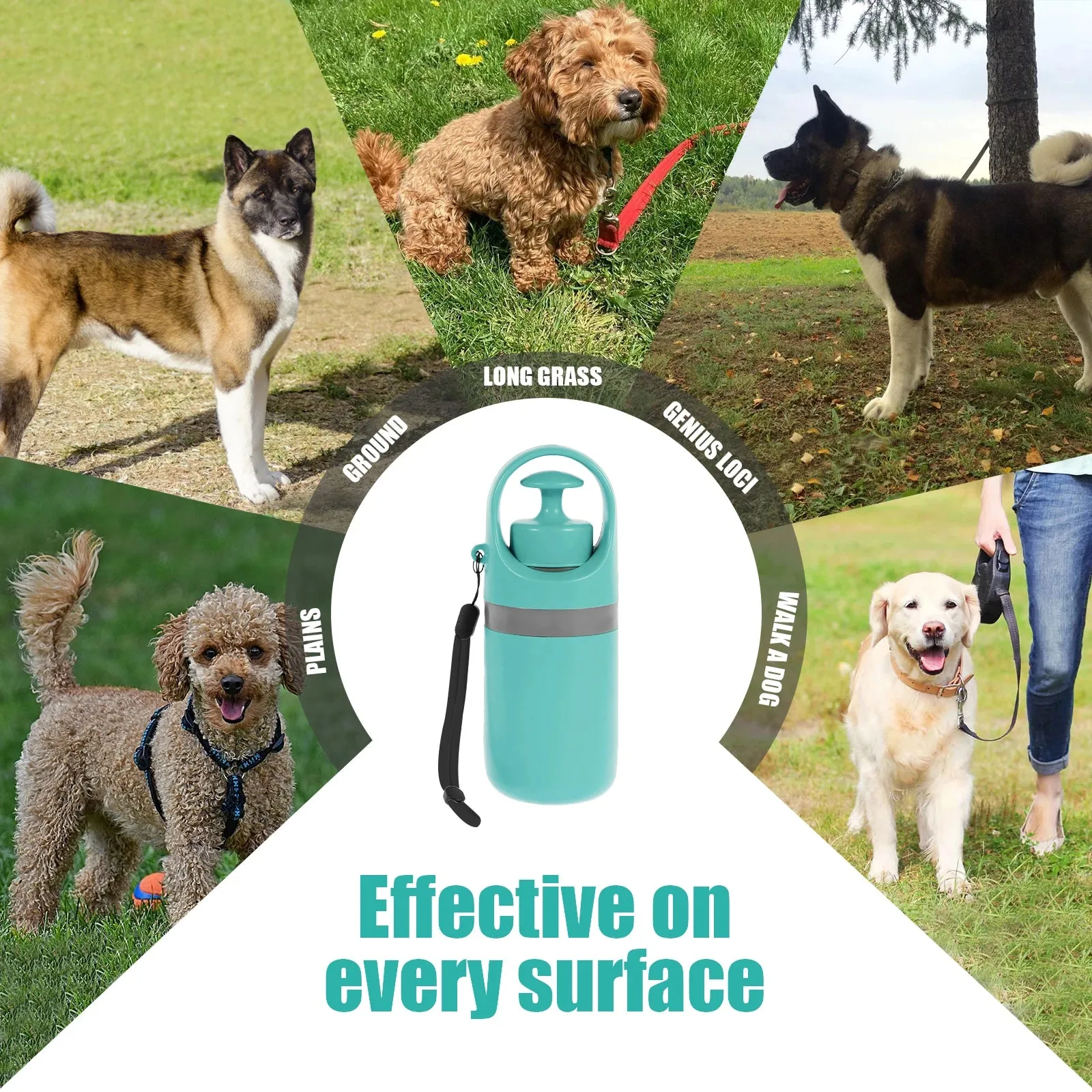 Pet Waste Solution