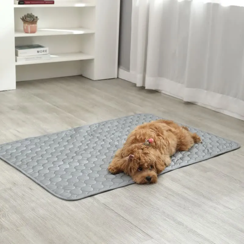 Simple Absorbent Summer Cooling Pet Pad