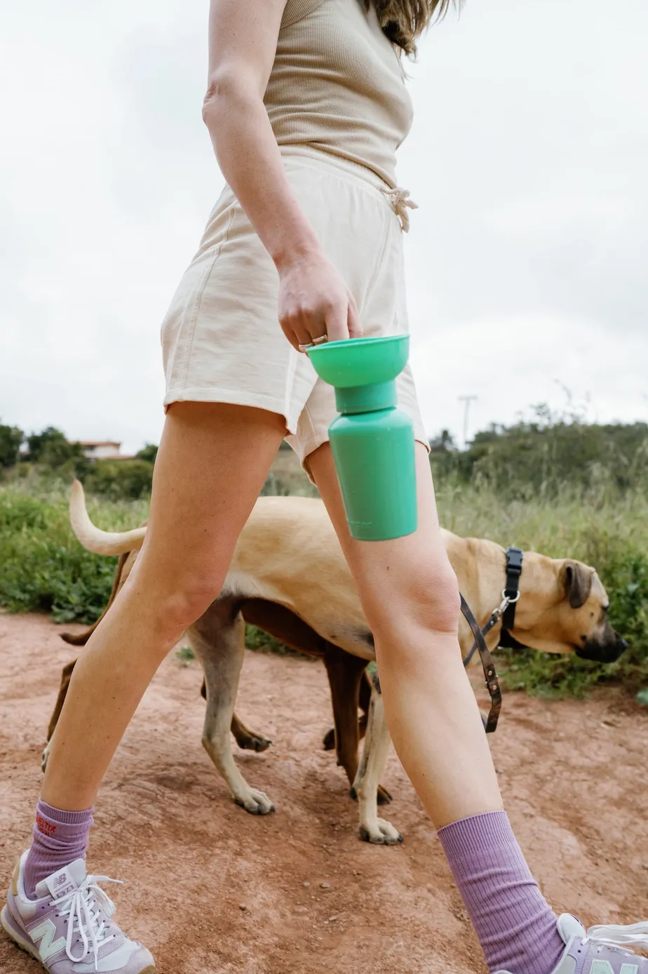 Springer Water Bottle